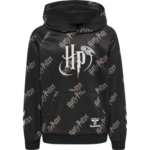 Harry potter 2025 pullover hoodie