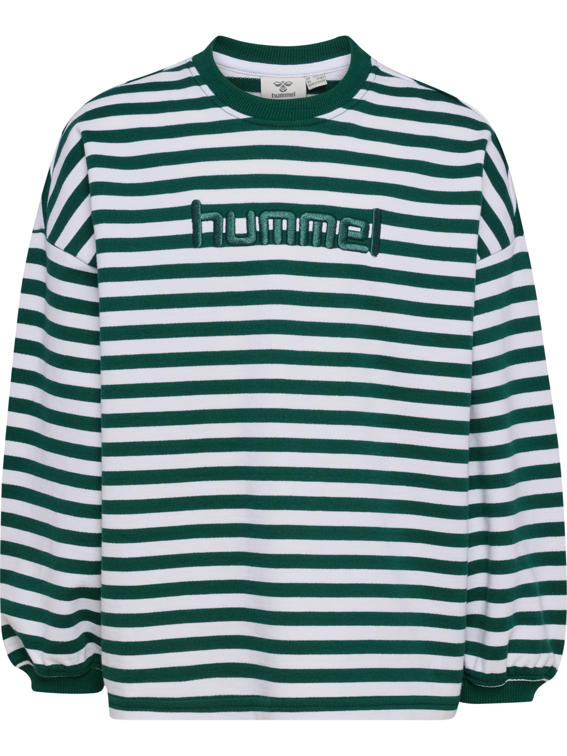 hmlJR GEGGO STRIPE SWEATSHIRT, FOREST BIOME, packshot