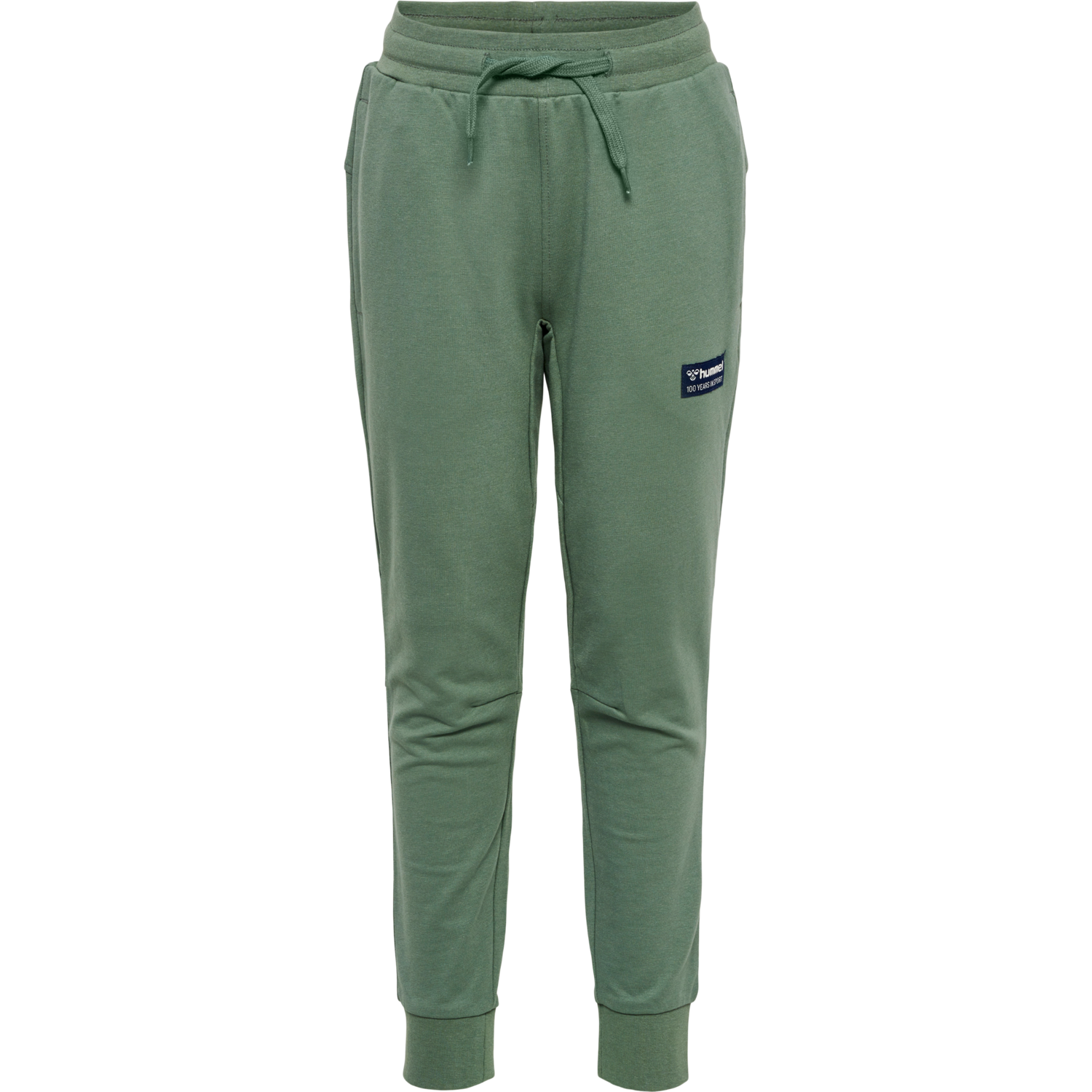 hmlEDDY PANTS, LAUREL WREATH, packshot