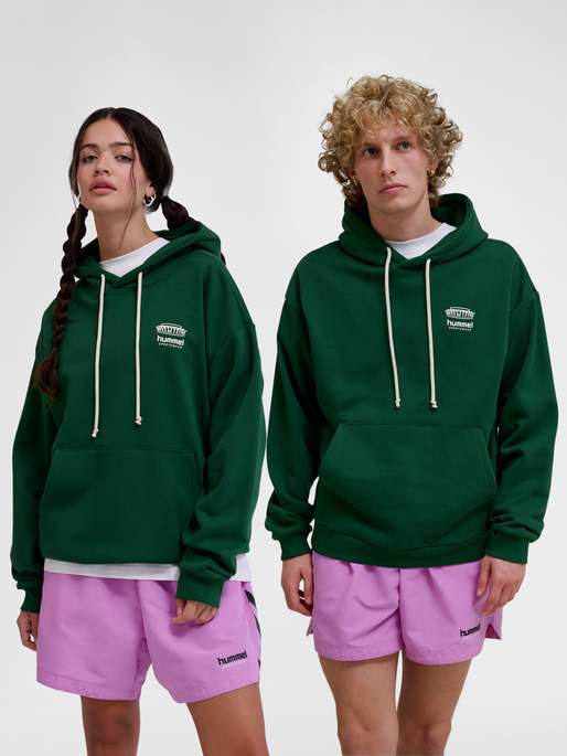 hmlLOOSE HOODIE BEES STADIUM, EDEN, model