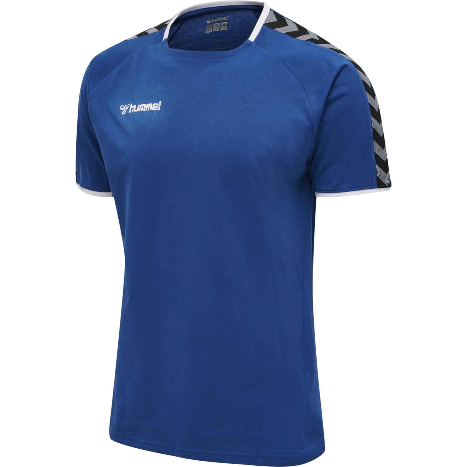 hmlAUTHENTIC TRAINING TEE, TRUE BLUE, packshot