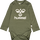 OLIVE NIGHT
