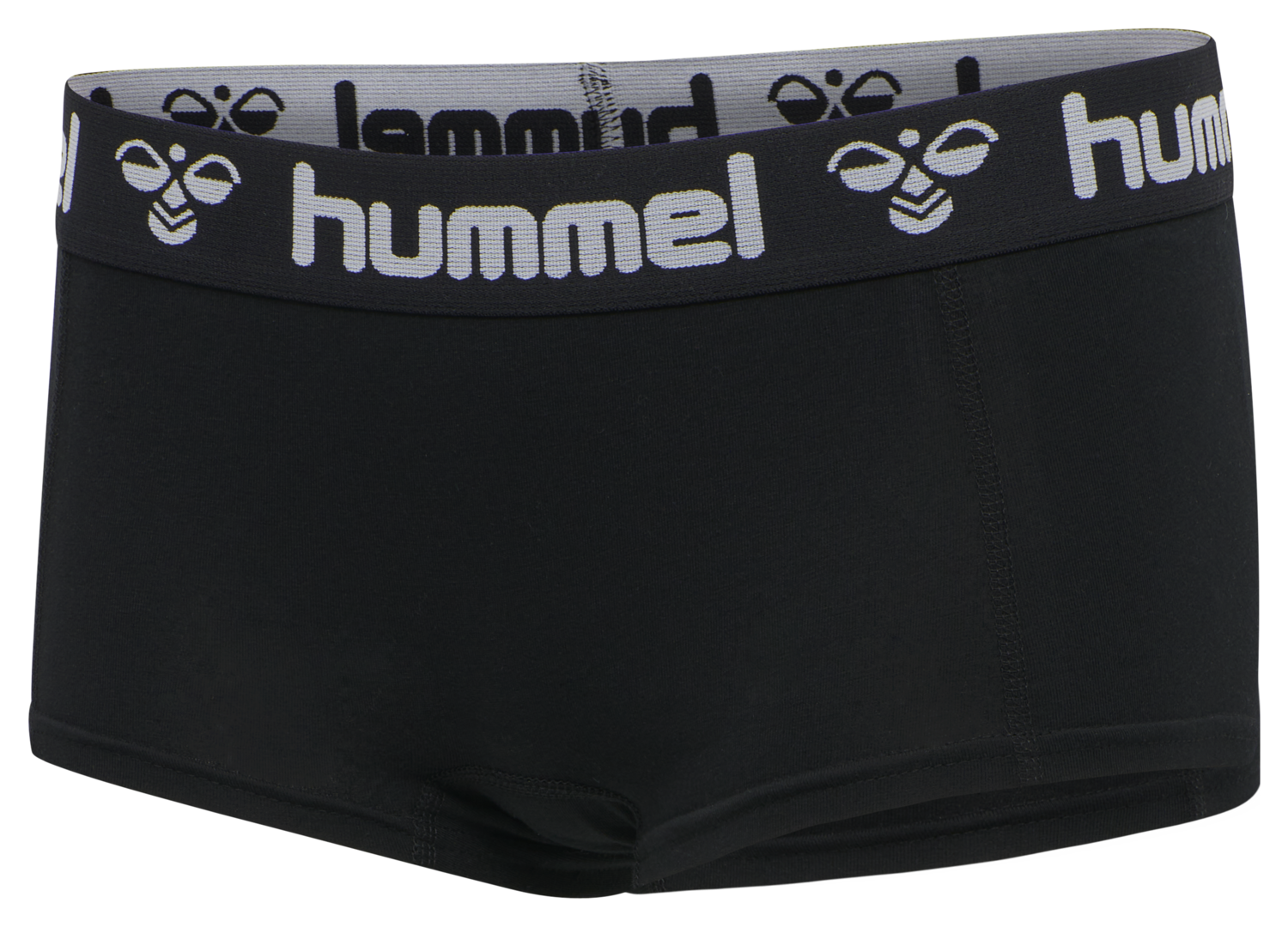 HMLMAYA 2PACK HIPSTERS, 2042, packshot