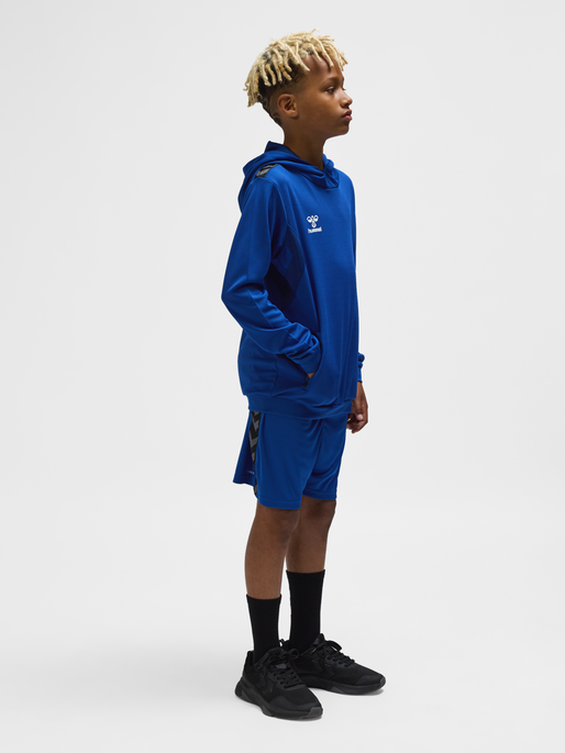 hmlAUTHENTIC PL HOODIE KIDS, TRUE BLUE, model