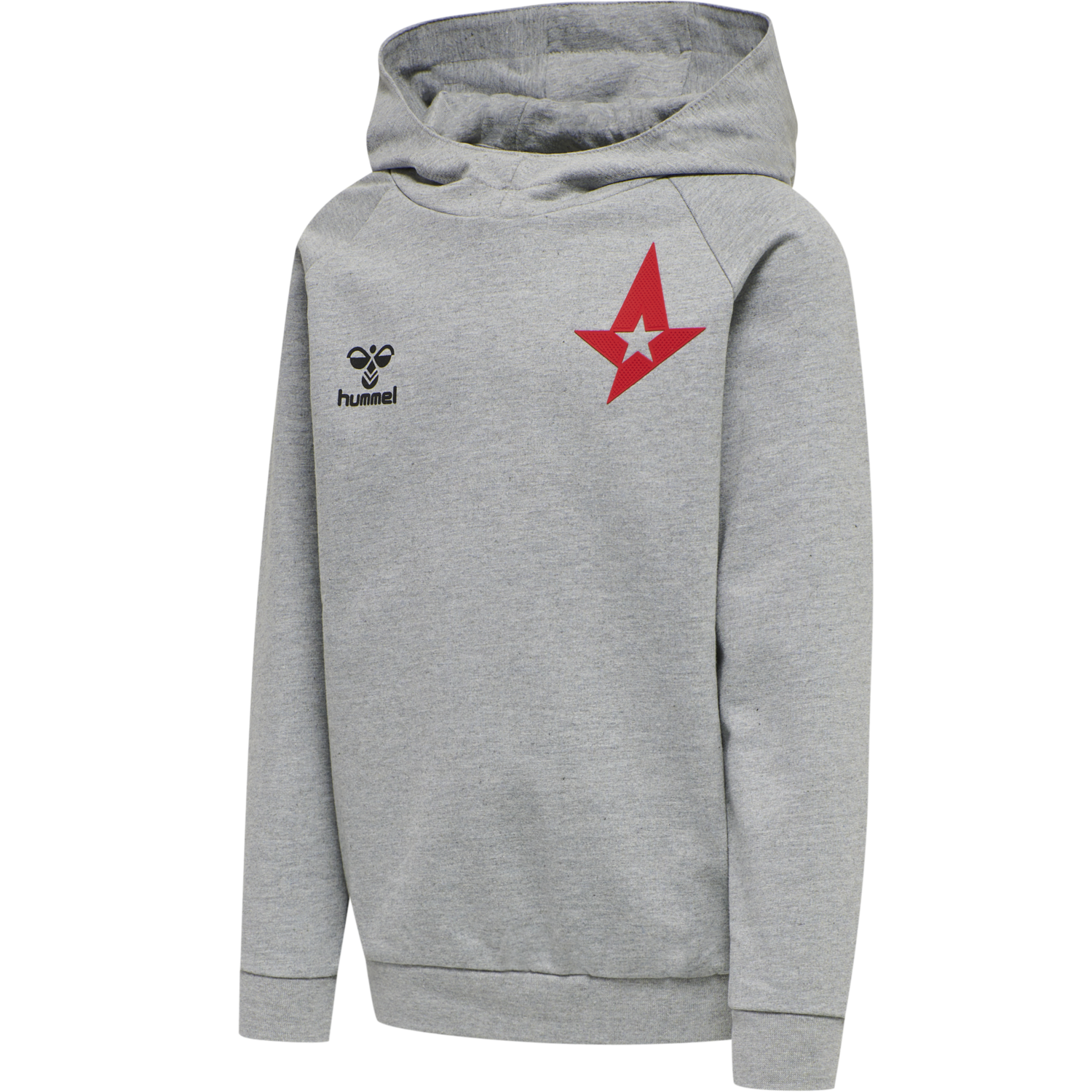 astralis hoodie