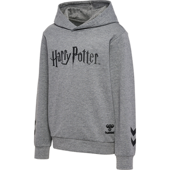 Vans x 2025 harry potter hoodie