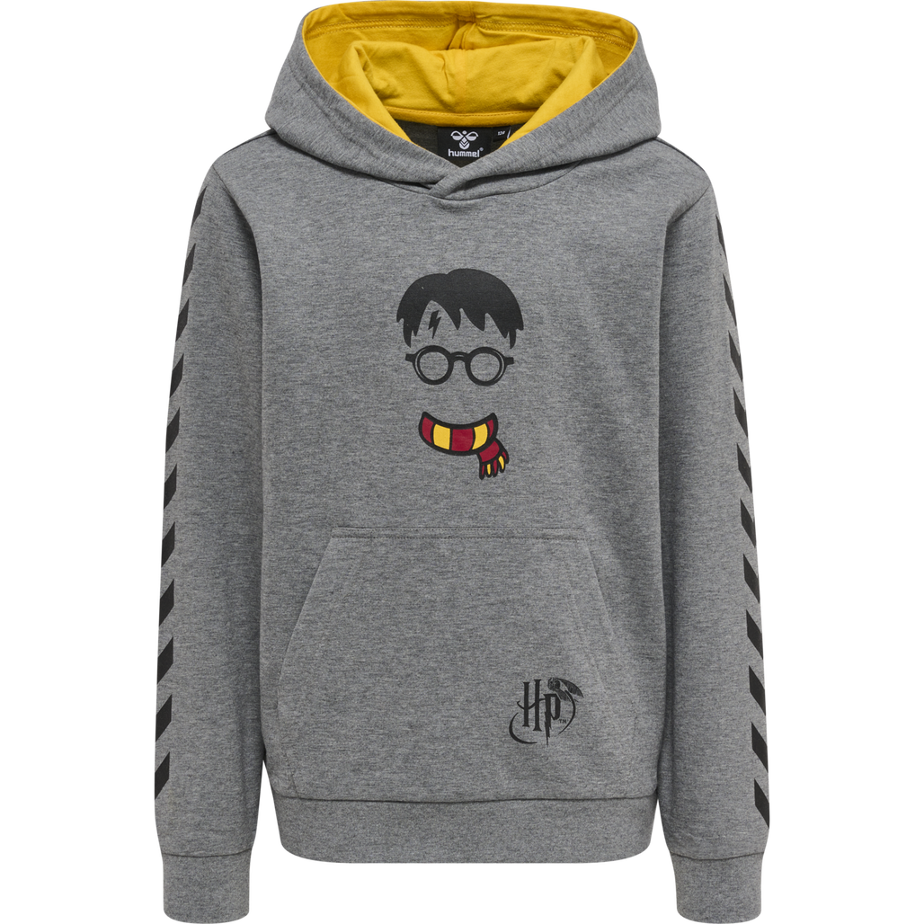 hmlHARRY POTTER CUATRO HOODIE