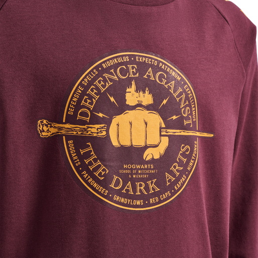 hmlHARRY POTTER T-SHIRT LS, 3679, packshot