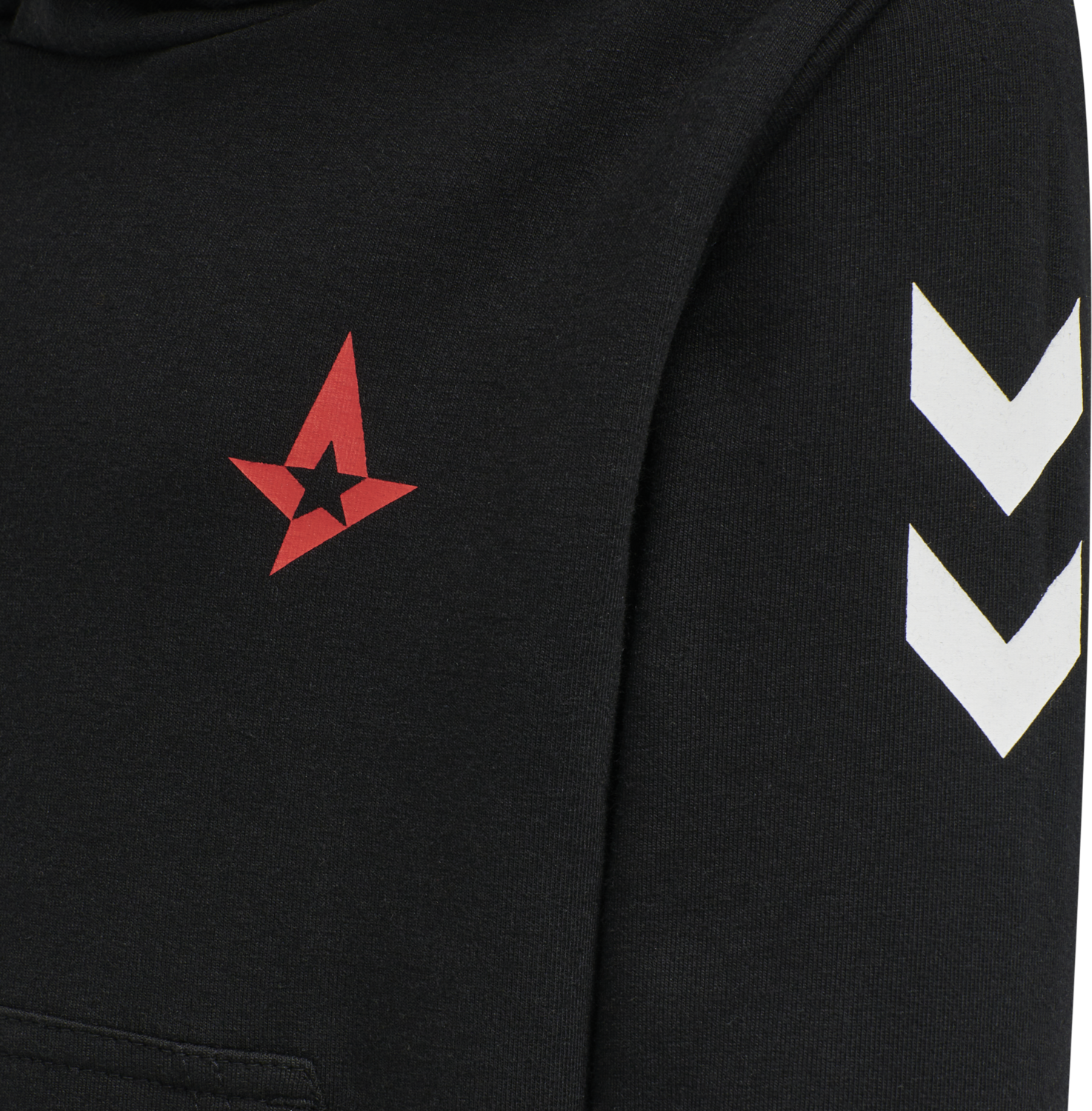 astralis hoodie