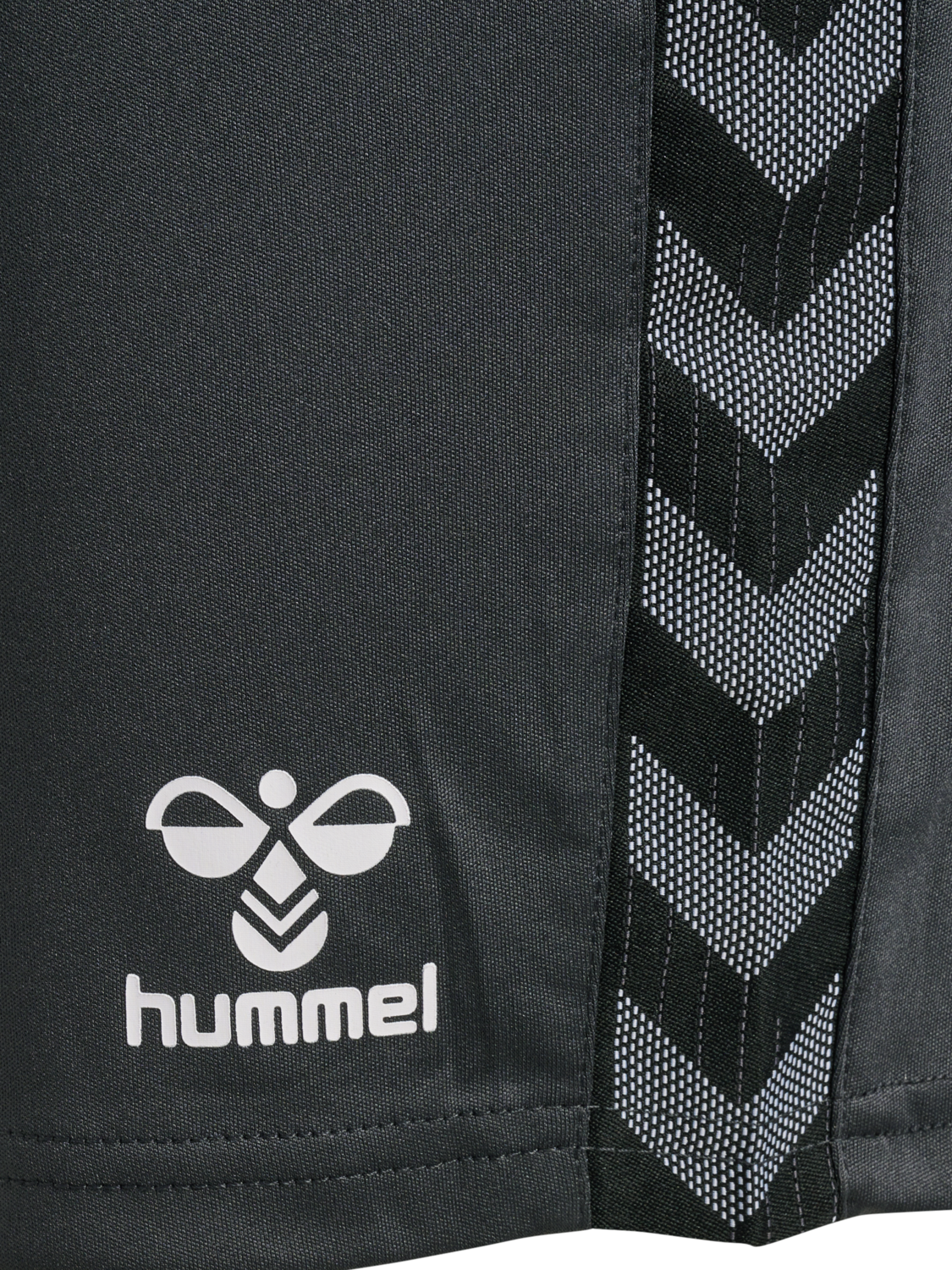 hmlAUTHENTIC PL SHORTS WOMAN, ASPHALT, packshot