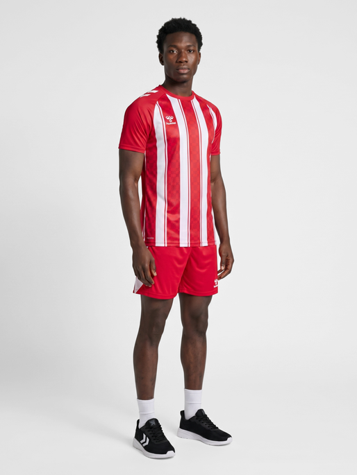 hmlMATCH STRIPED JERSEY S/S, TRUE RED/WHITE, model