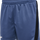 BLUE INDIGO