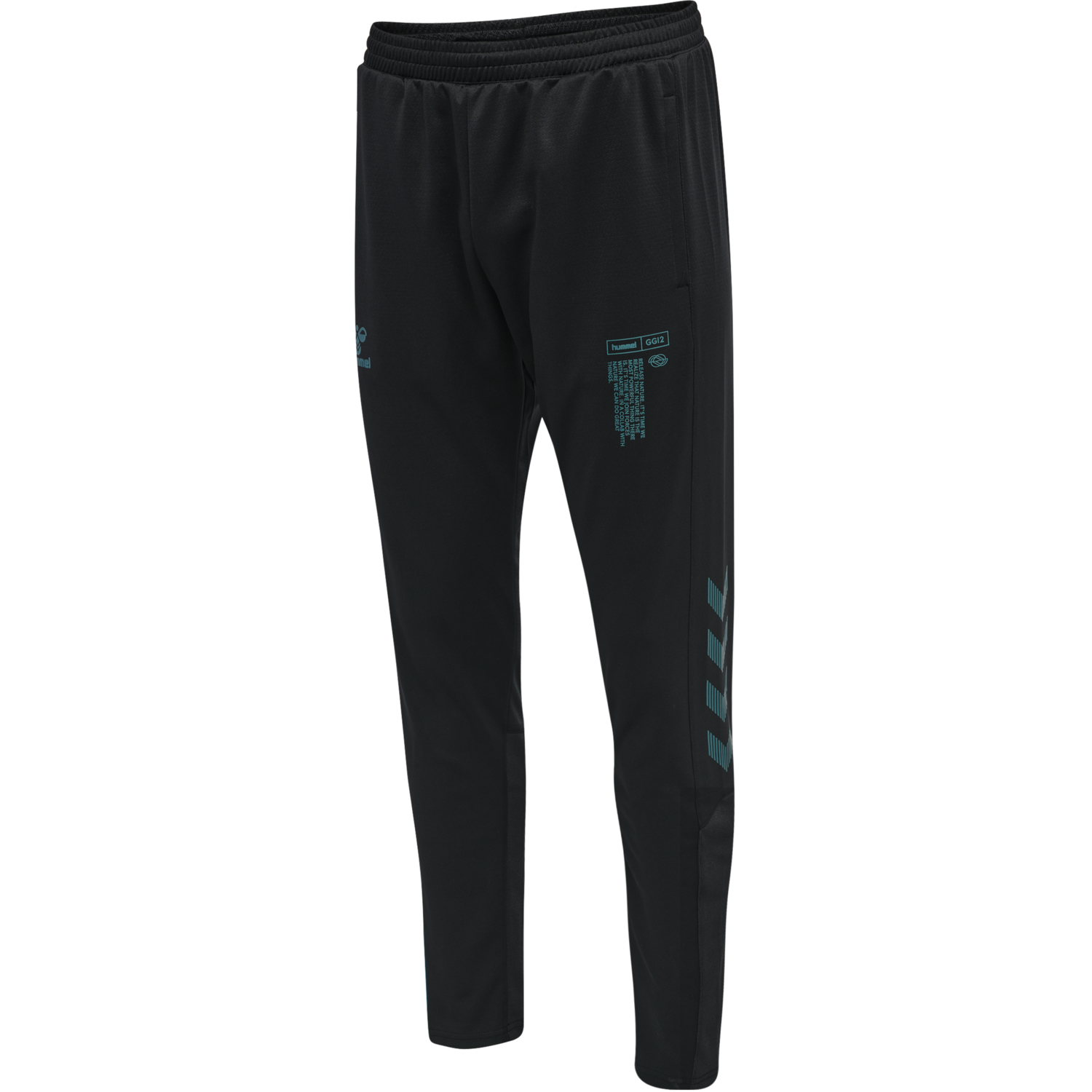 hmlGG12 ACTION TRAINING PANTS, 2951, packshot