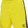 BLAZING YELLOW