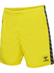 BLAZING YELLOW
