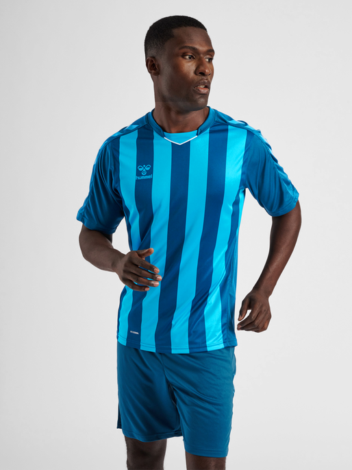 hummel CORE XK STRIPED JERSEY S/S - BLUE CORAL | hummel.net