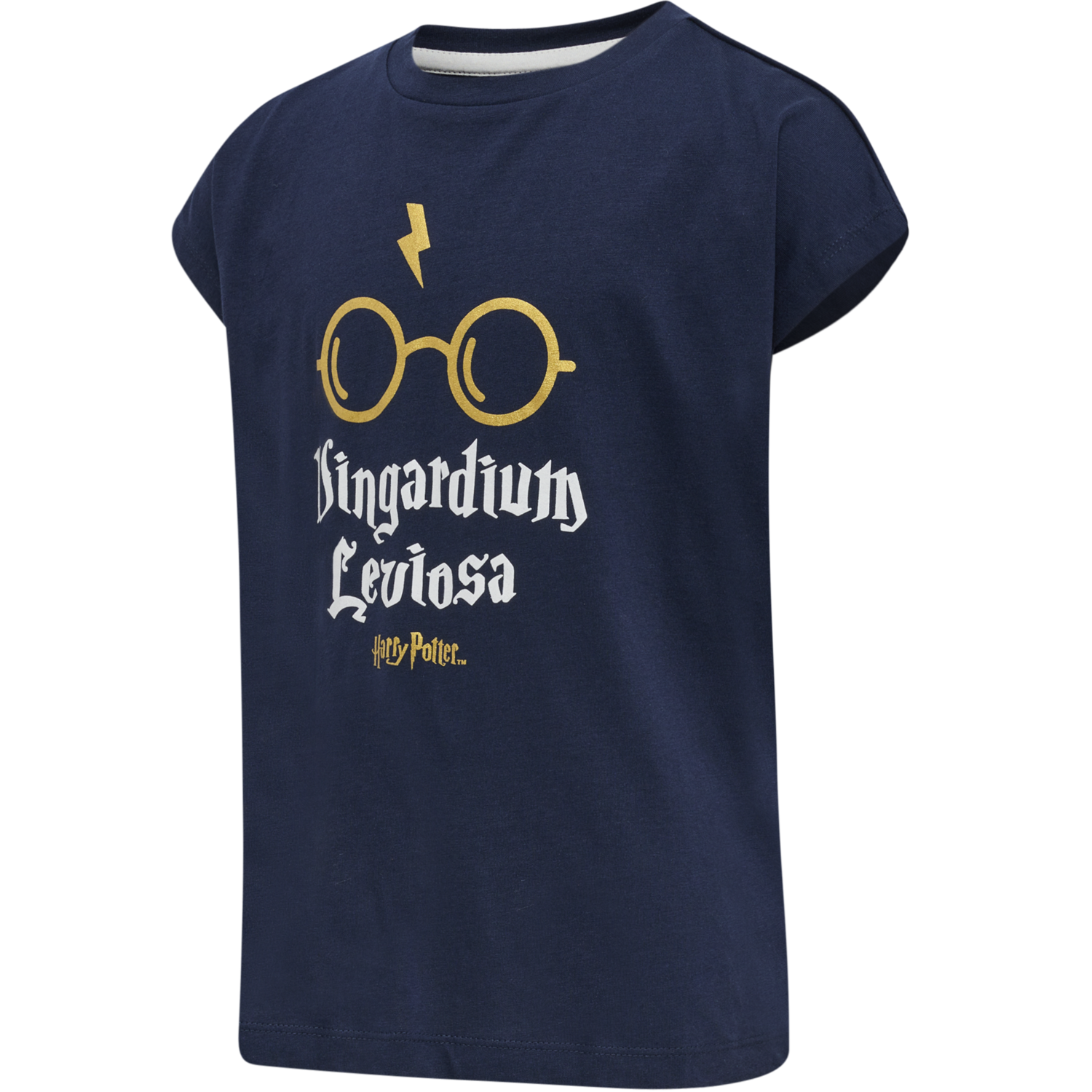 hmlHARRY POTTER DIEZ T-SHIRT S/S, BLACK IRIS, packshot