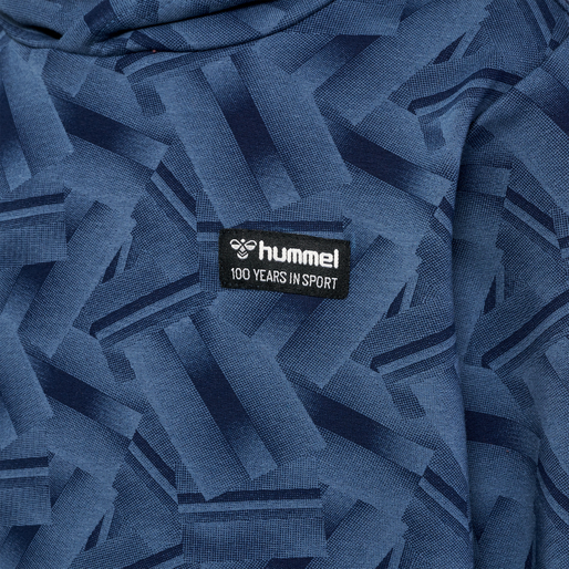 hmlRICHARDO HOODIE, 7050, packshot