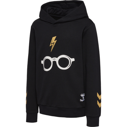 hmlHARRY POTTER HOODIE