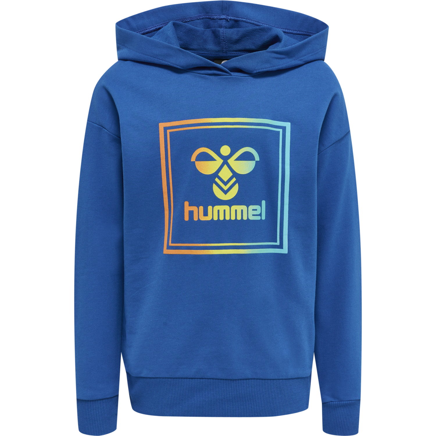 HMLLEIDEN HOODIE, 4247, packshot