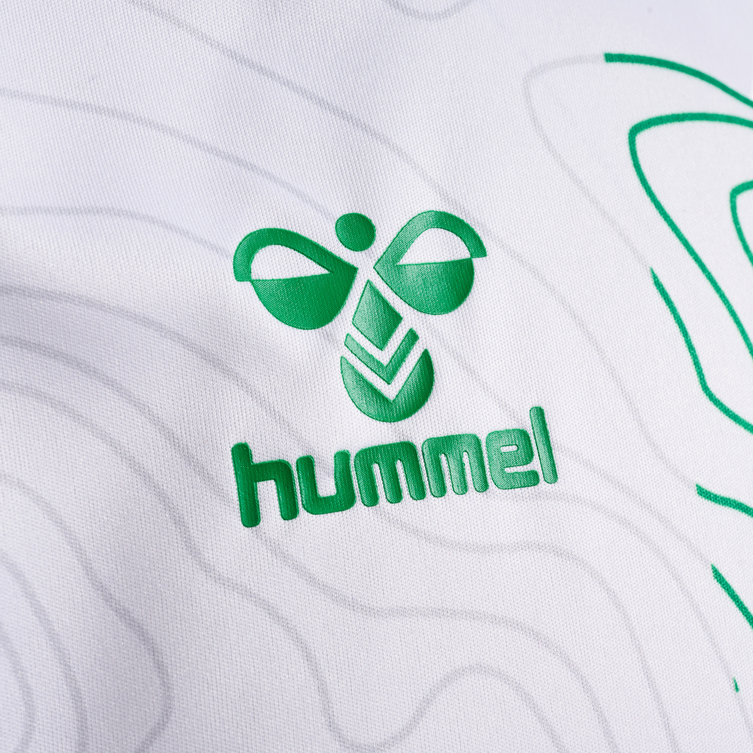 asse hummel