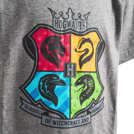 hmlHARRY POTTER T-SHIRT, MEDIUM MELANGE, packshot