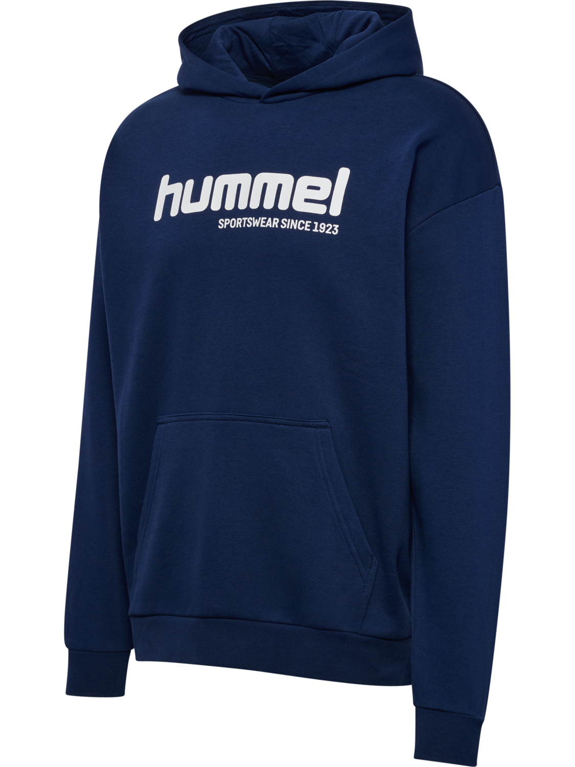 hmlSW GRAPHIC HOODIE, DRESS BLUES, packshot