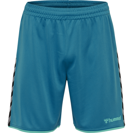 hmlAUTHENTIC POLY SHORTS, CELESTIAL, packshot
