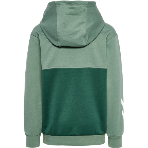 Puma laurel wreath 2024 hoodie