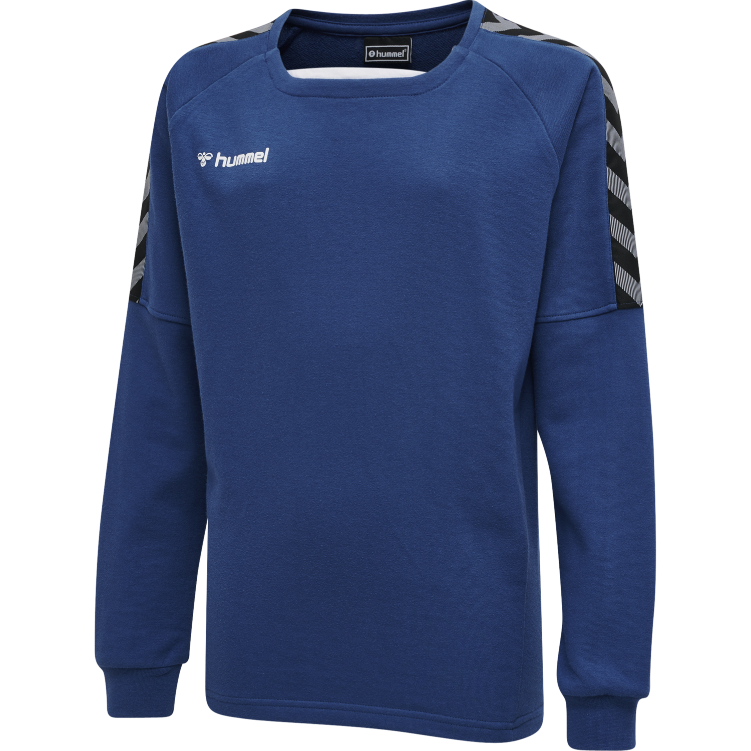 hmlAUTHENTIC KIDS TRAINING SWEAT, TRUE BLUE, packshot
