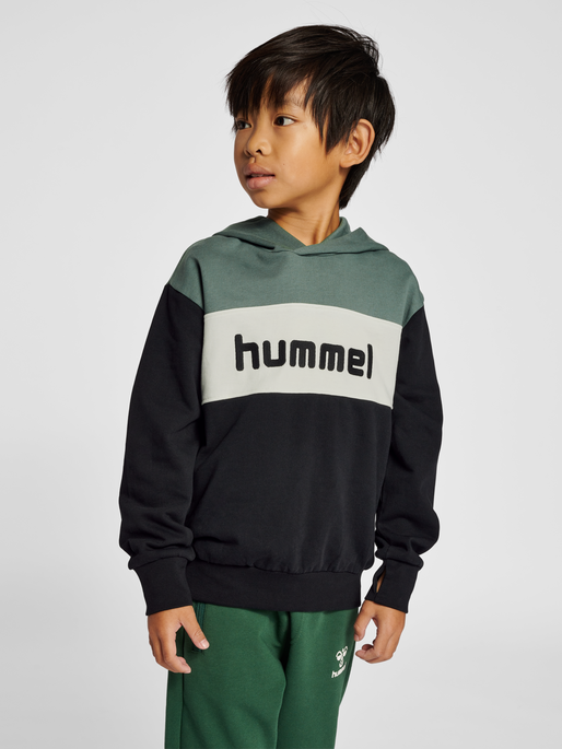 hmlMORTEN HOODIE, LAUREL WREATH, model