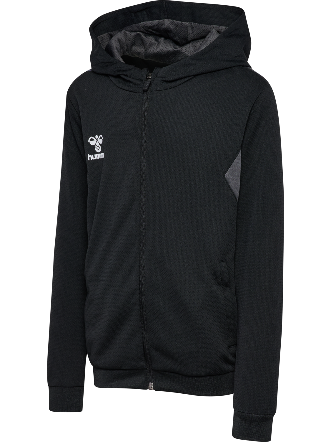 hmlAUTHENTIC PL ZIP HOODIE KIDS, BLACK, packshot