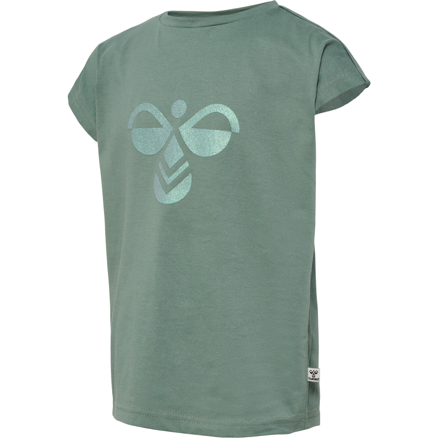 hmlDIEZ T-SHIRT S/S, LAUREL WREATH, packshot