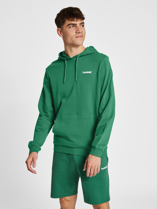 hummel LGC GABE HOODIE FOLIAGE GREEN hummel