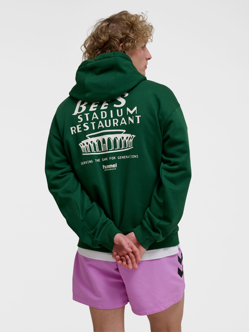 hmlLOOSE HOODIE BEES STADIUM, EDEN, model