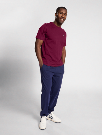 hmlIC TERRY T-SHIRT, CABERNET, model