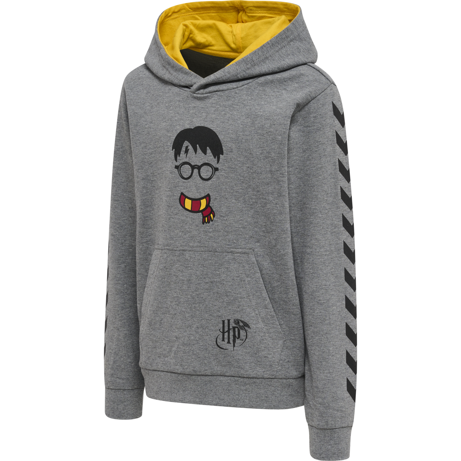 hmlHARRY POTTER CUATRO HOODIE, MEDIUM MELANGE, packshot