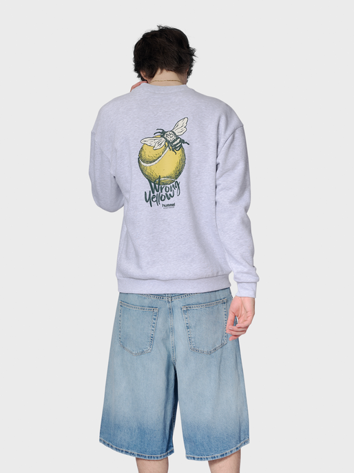 hmlLOOSE CREW WRONG YELLOW, LIGHT GREY MELANGE, model