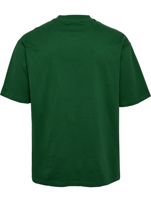 hmlSWARM LOOSE T-SHIRT, EDEN, packshot