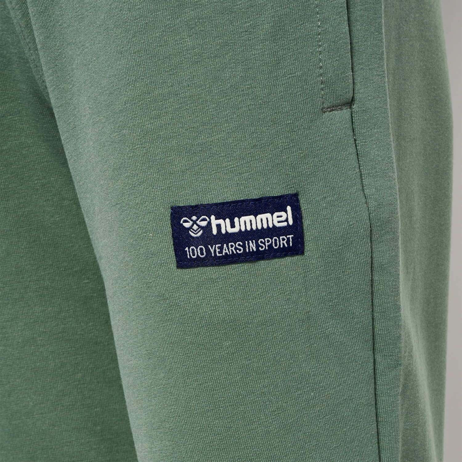 hmlEDDY PANTS, LAUREL WREATH, packshot