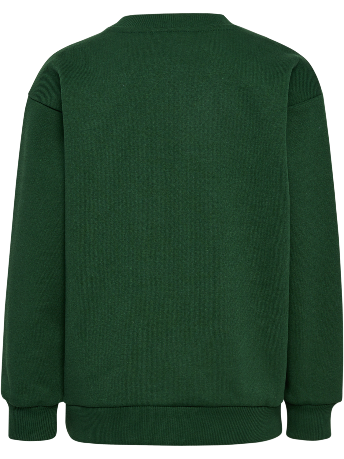 hmlJR LOOSE CREWNECK BEE, DARK GREEN, packshot