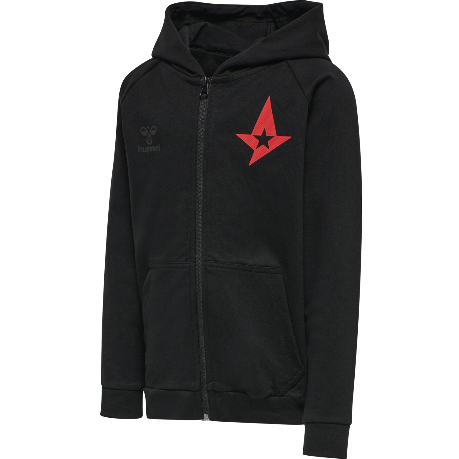 astralis hoodie