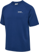 ESTATE BLUE