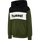 OLIVE NIGHT