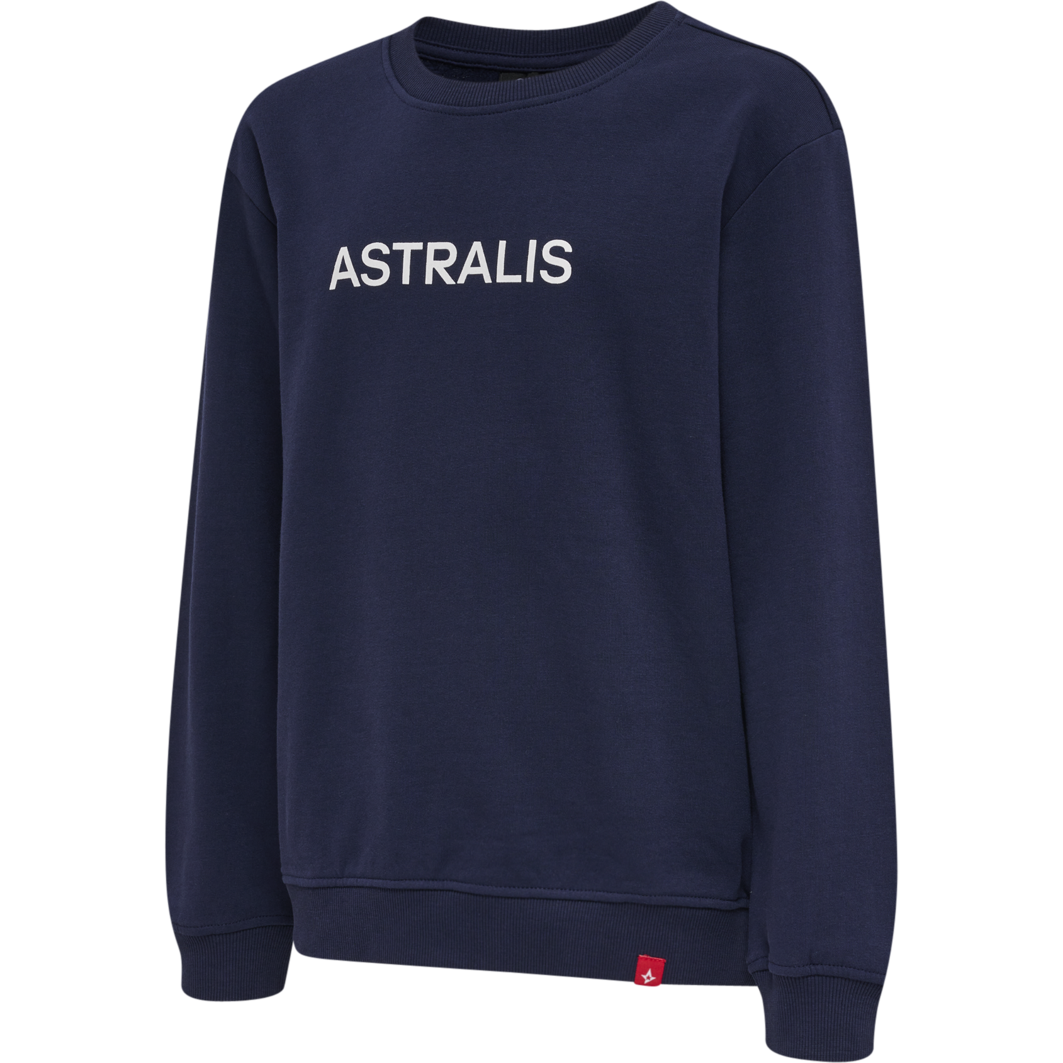 astralis sweatshirt