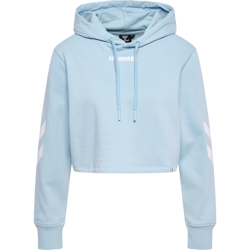 Baby blue crop hoodie discount