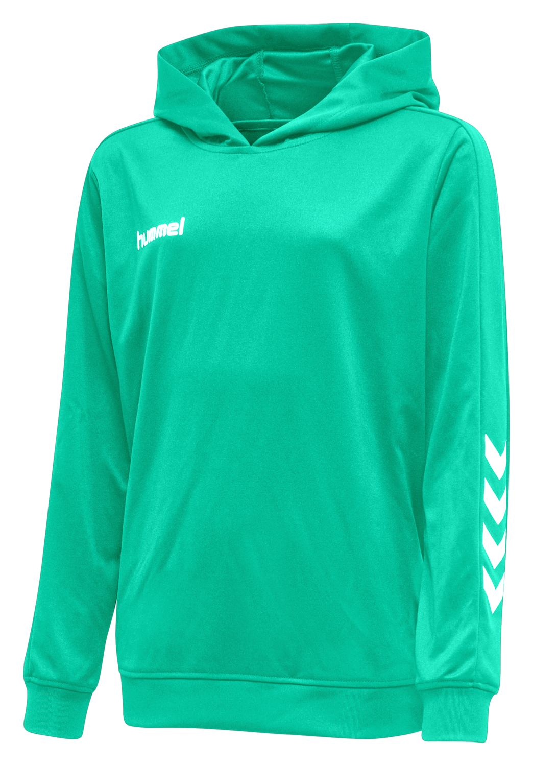the promo hoodie
