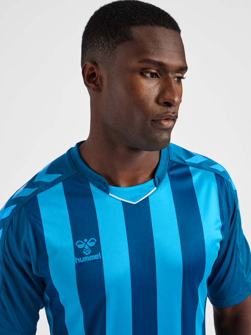 hmlCORE XK STRIPED JERSEY S/S, BLUE CORAL, model