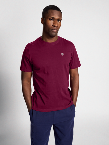 hmlIC TERRY T-SHIRT, CABERNET, model