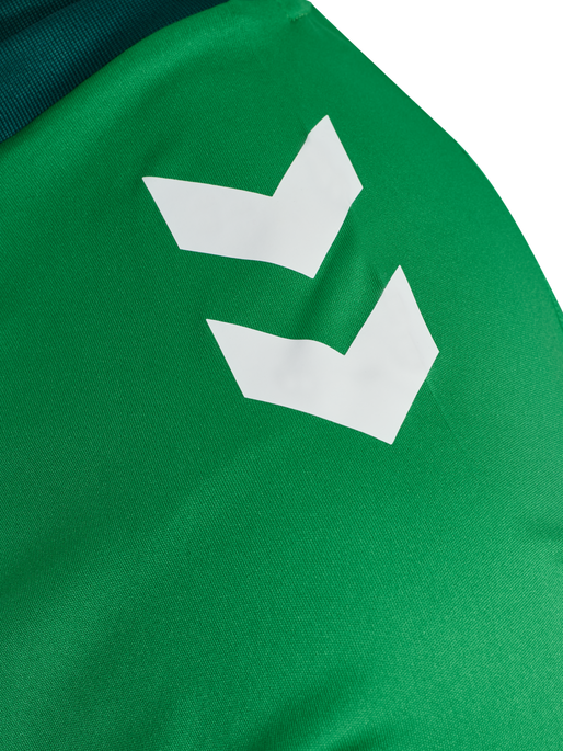 hmlMATCH TRIUMPH JERSEY S/S, JELLY BEAN/BOTANICAL GARDEN, packshot